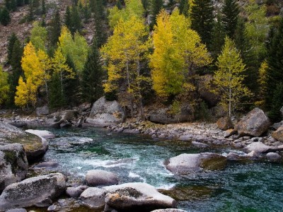 抖音月付商家贴息怎么算？富信掌柜实测：降本+提转化双丰收