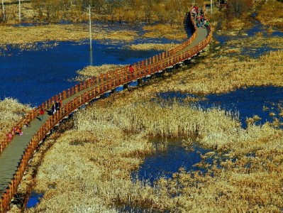 微信拼团能用花呗吗？支付生态差异与安全提醒（附平台支付指南）