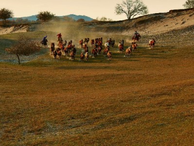 抖音月付支付商家能看到吗？隐私机制与支付细节全解析