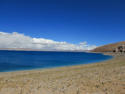 京东白条加油包套现风险大！出财小神提醒：合规用信更安心