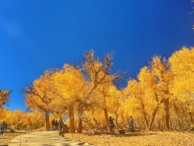 抖音月付套现商家知不知情？出财小神等工具背后的风险解析