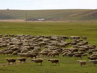 微信内测花呗？出财小神预警：实为常见诈骗套路需警惕