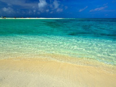 羊小咩提额时间不固定？这4个因素决定你的额度上涨速度