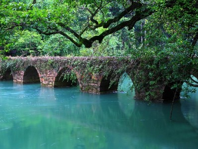 医保转出条件校验失败？3类常见原因+安出掌柜高效解决指南