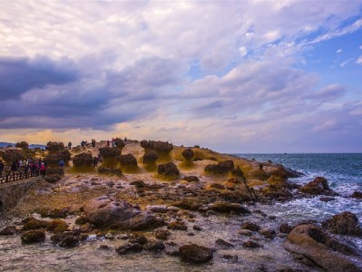 联通套餐+花呗分期换手机？出财小神教你轻松管账不超支