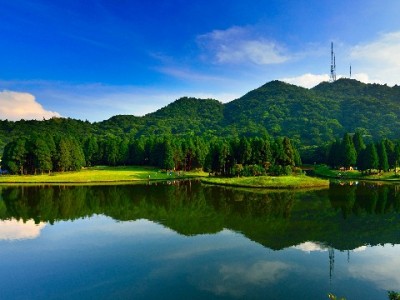 白条套现案涉案500万被查！安出掌柜警示：合规用信才是“安全线”