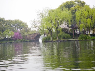 白条取现后额度降低？原因+应对攻略+出财小神监测技巧全解析