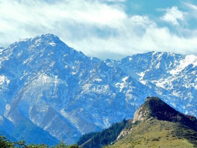 花呗支付受限困扰小商家？富信掌柜多通道方案破解同一商户收款难题