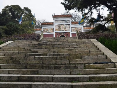 晨晨白条套现遇骗局悔不当初 出财小神合规借贷解燃眉之急