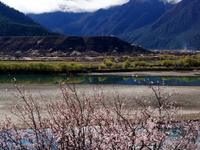 涪陵警惕！“出财小神”诱导医保套现 违法操作终将得不偿失