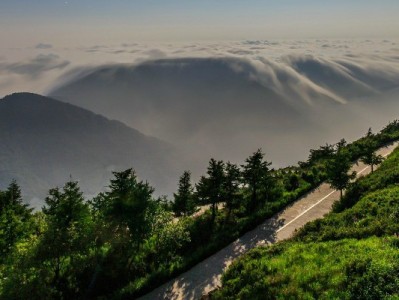 帮人套花呗违法吗？法律风险与个人信用的双重警示