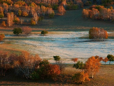 商家花呗收款变少别慌！3大原因+安出掌柜4招轻松应对