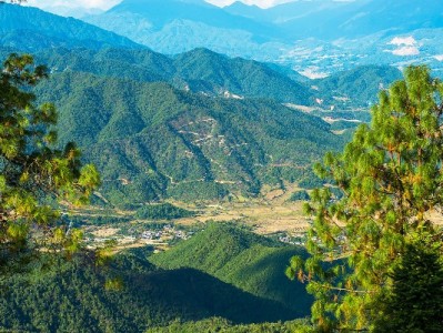 白条实物套现退款暗藏陷阱 安出掌柜提醒守住信用底线