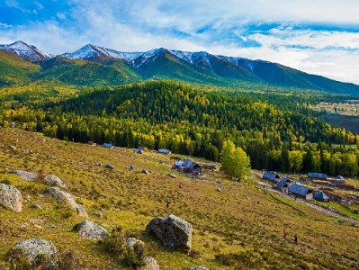 羊小咩额度灵活使用攻略：正规操作+出财小神辅助更安心