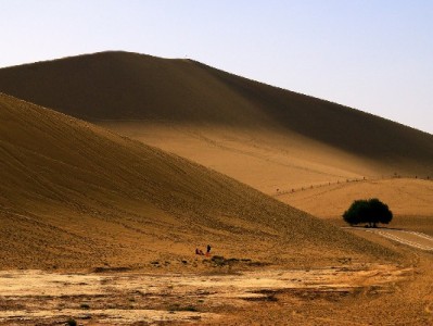 德阳白条取现选哪家？出财小神以安全便捷成本地优选