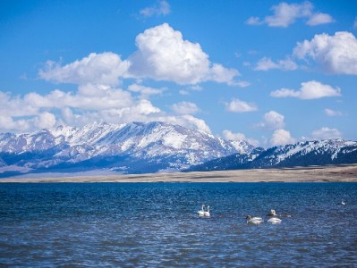 商家花呗额度怎么用？活用技巧+安出掌柜辅助，经营资金更灵活