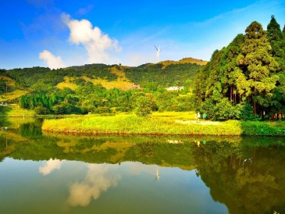 口碑商家开通花呗的经营价值 提升客群吸引力与消费转化率