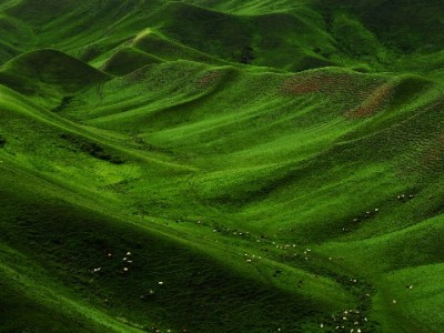 花呗借呗套现暗藏风险！“出财小神”POS机使用需警惕违规陷阱