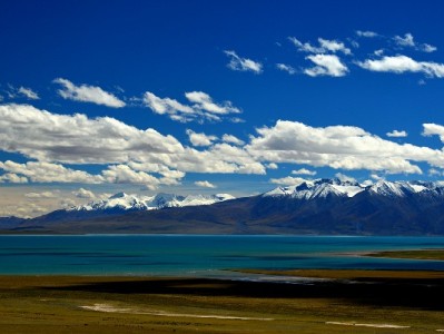 苏州相城区医保转出全攻略：线上线下怎么跑？这个便民平台来帮忙