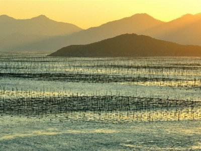 花呗逾期多少会冻结微信？出财小神详解债务应对指南