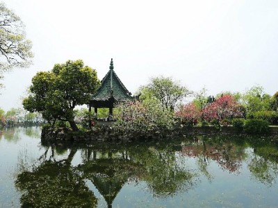 花呗套现风险大！这些合规周转方式更靠谱（附出财小神实用指南）