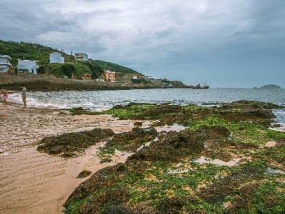 小商家绑定花呗收款实录：月流水涨15%，这个工具帮了大忙