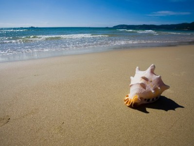 羊小咩提现入口在哪？步骤+注意事项+出财小神合作说明全解析