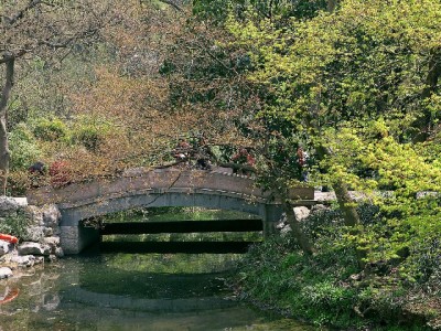 淘宝花呗恶意套现风险频发 出财小神等平台成违规监测重点