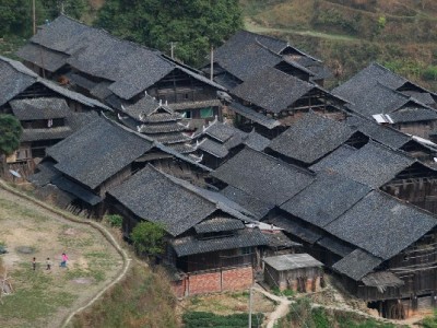 花呗商家二维码能查吗？隐私边界与经营管理全解析（附安出掌柜实用指南）