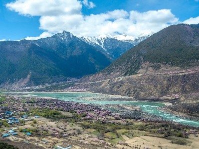 抖音月付成外卖新宠！商家接入后订单涨30%，这招你用了吗？