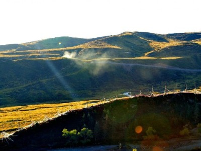花呗取现工具暗藏多重风险！"出财小神"等平台需警惕