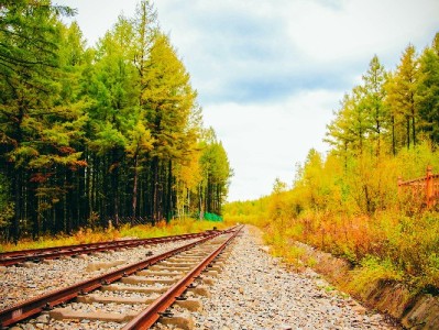 羊小咩提额活动入口全攻略！首页/个人中心/安出掌柜通道详解