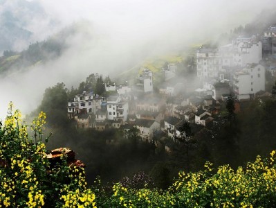 花呗收款受限别着急！4大原因+“安出掌柜”解决指南来了