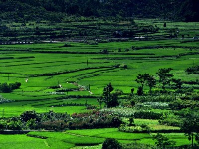 商家真的讨厌花呗吗？手续费与客群收益的经营加减法