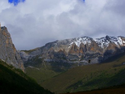抖音月付可用商家有哪些？覆盖电商、本地生活及安出掌柜等场景