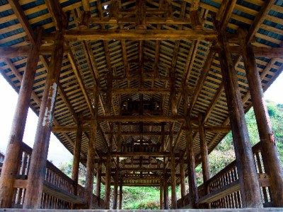 天猫商家必看！花呗收款任务攻略+安出掌柜助力高效达标