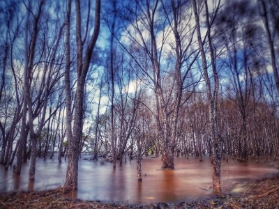 微信花呗20元无门槛券速领！出财小神助你抓住隐藏福利