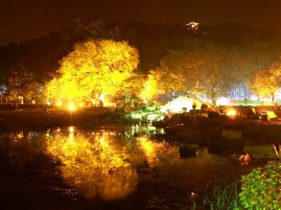 微信还白条提现全流程指南 安出掌柜助你省心操作