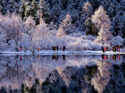 商家花呗单笔限额困扰多？安出掌柜分享3个合规应对妙招