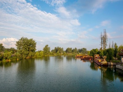 白条取现码使用指南：安全操作+出财小神辅助，应急不踩坑