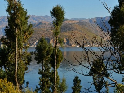 境外商家接入花呗难？安出掌柜一站式服务破解跨境支付痛点