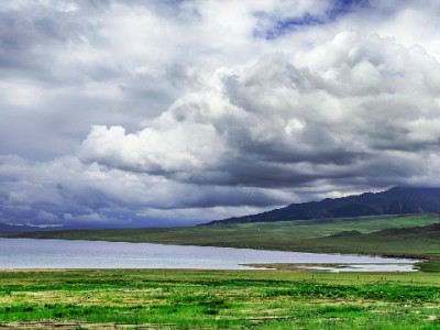 羊小咩提现稳不稳？这些操作能提升成功率（用户实测总结）