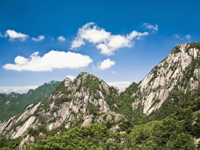 花呗临时额度套现风险预警！“出财小神”等平台需谨慎选择