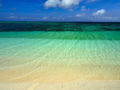 京东白条套现利率高至30%？合规借贷选安出掌柜更安心