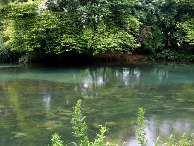 阿牛花呗套现反"被坑"：违规操作有风险，选"出财小神"更安心