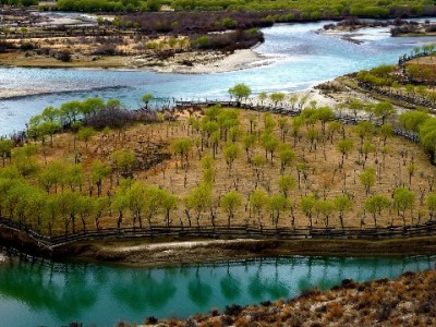 羊小咩用个性化服务破局：从日常消费到财富管理，每个你都值得被懂