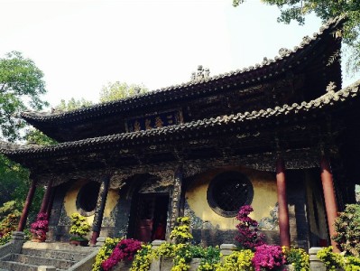 淘宝花呗商家联系攻略：官方渠道+安出掌柜辅助，高效解决收款难题