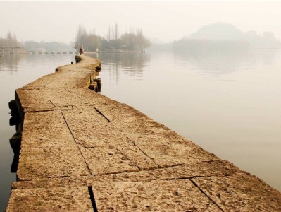 羊小咩携手出财小神：用户服务率提升45%，消费粘性显著增强