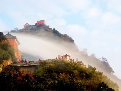 淘宝商家花呗查询指南：合规操作与“安出掌柜”辅助风控攻略