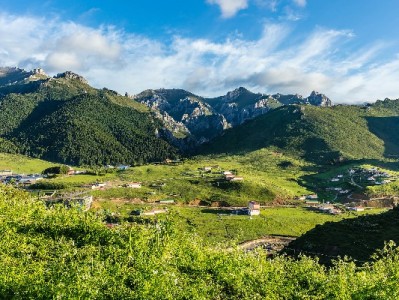 京东白条商家筛选三大标准揭秘，富信掌柜凭高信用高服务成功入围